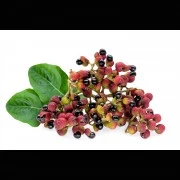 Pfeffer-Mix (exotische Pfeffermischung)