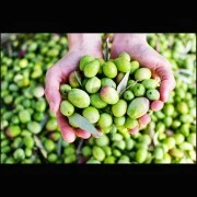 Limetten-Öl (aromatisiertes Olivenöl)