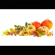 Kürbiskern-Öl, kaltgepresst