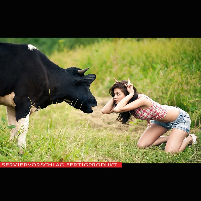 Milcheiweiß (Mizellares Casein)