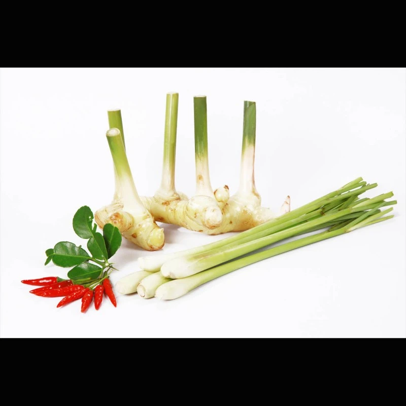 Lemongras-Öl (ätherisch)