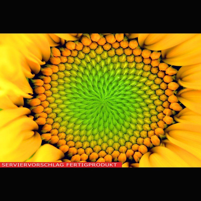 Lecithin, Sonnenblumenlecithin