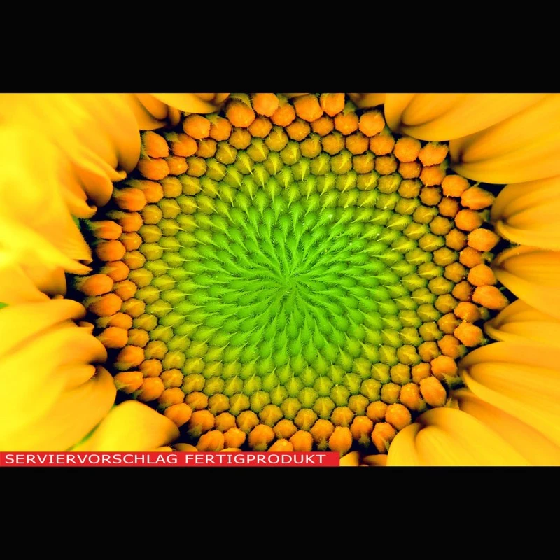 Lecithin (Sonnenblumenlecithin)