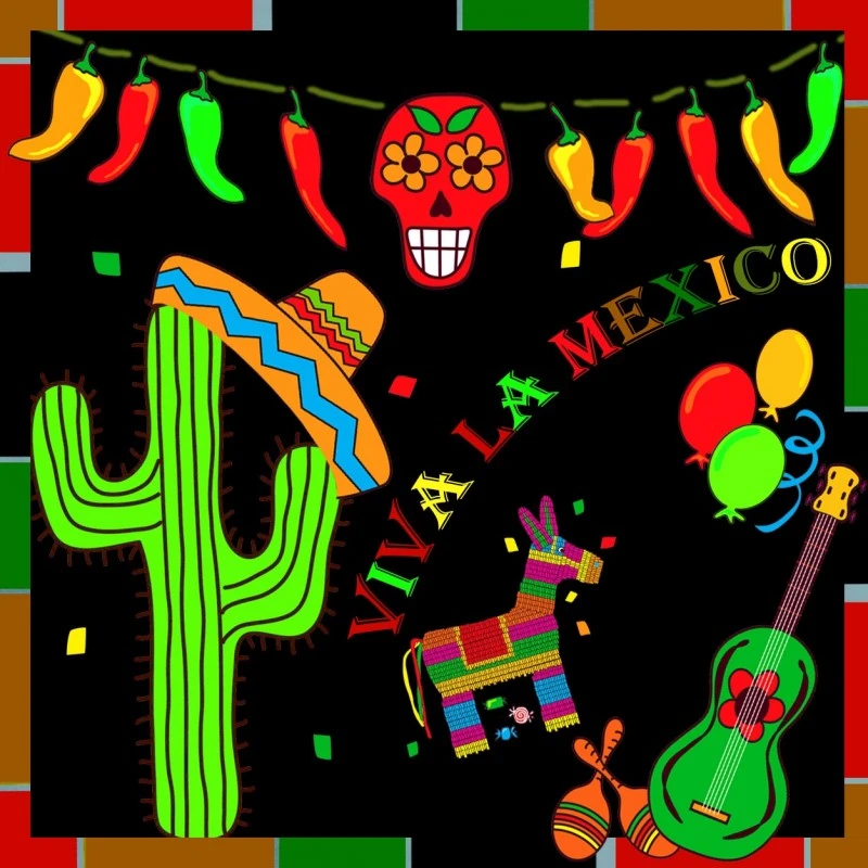 Chili-Gewürz "Chilli Gonzales" (Tex-Mex)