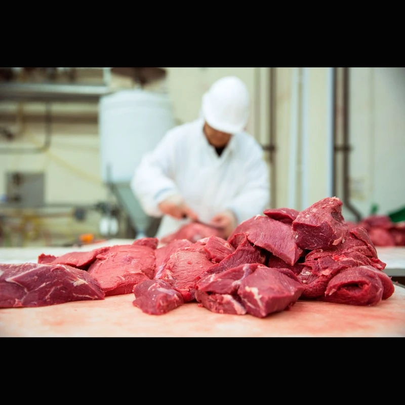 Starterkulturen für Rohwurst