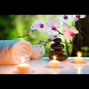 Triacetin (Glycerintriacetat)