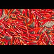 Capsicum-Oleoresin  (flüssiger Gewürzextrakt)