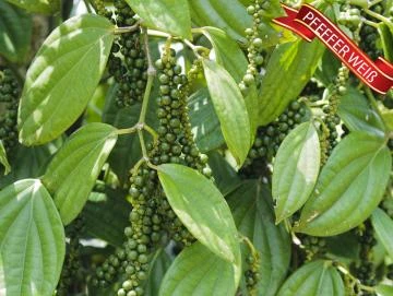 Pfeffer weiß, Oleoresin (flüssiger Gewürzextrakt)