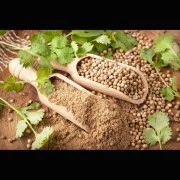 Koriander-Oleoresin (flüssiger Gewürzextrakt)