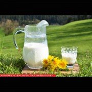 Lactose, Milchzucker