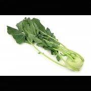 Sellerie-Oleoresin (flüssiges Gewürzextrakt)