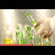 Kaliumnitrat Bengalsalpeter (Kalisalpeter, rein)