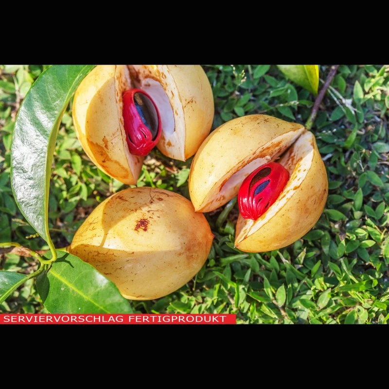 Muskatnuss, gemahlen