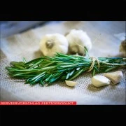 Knoblauch, grob geschnitten (G3)