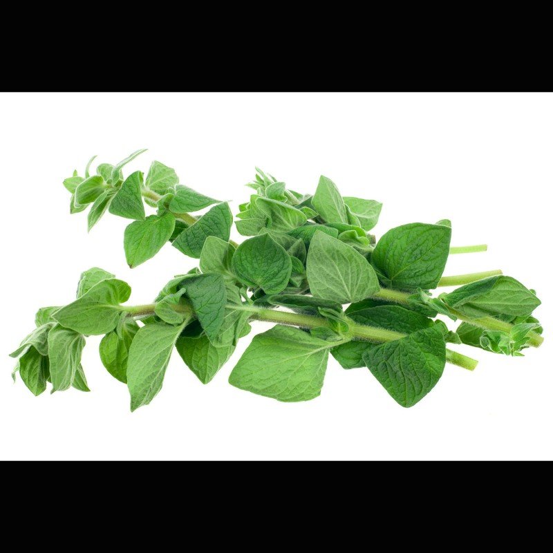Oreganoblätter, Oregano gerebelt