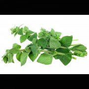 Oreganoblätter, Oregano gerebelt