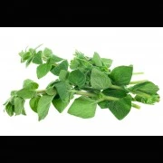 Oregano, gerebelt