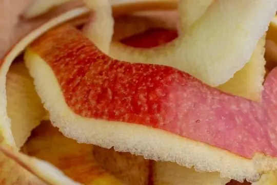 Apfelpektin, Pectin - Eismanufaktur