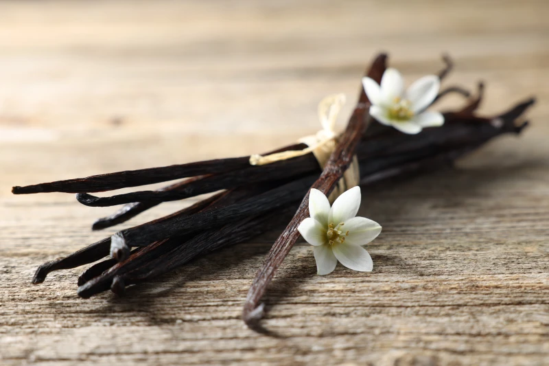 Bourbon Vanilleschoten - Spitzenqualität aus Madagaskar