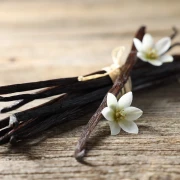 Bourbon Vanilleschoten - Spitzenqualität aus Madagaskar