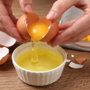 Eiklarprotein, Eiweiß, Eiweissprotein