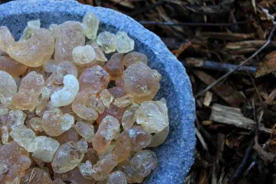 Gummi Arabicum gemahlen aus GELBEN Akaziensteinen