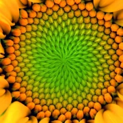 Lecithin, Sonnenblumenlecithin
